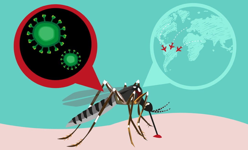 Featured image for “Zika: ένας επικίνδυνος ιός ή κάτι περισσότερο;”